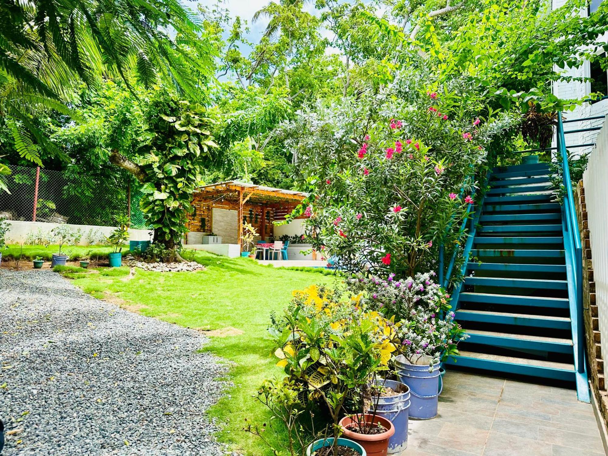 ホテル Palmare House San Andrés エクステリア 写真